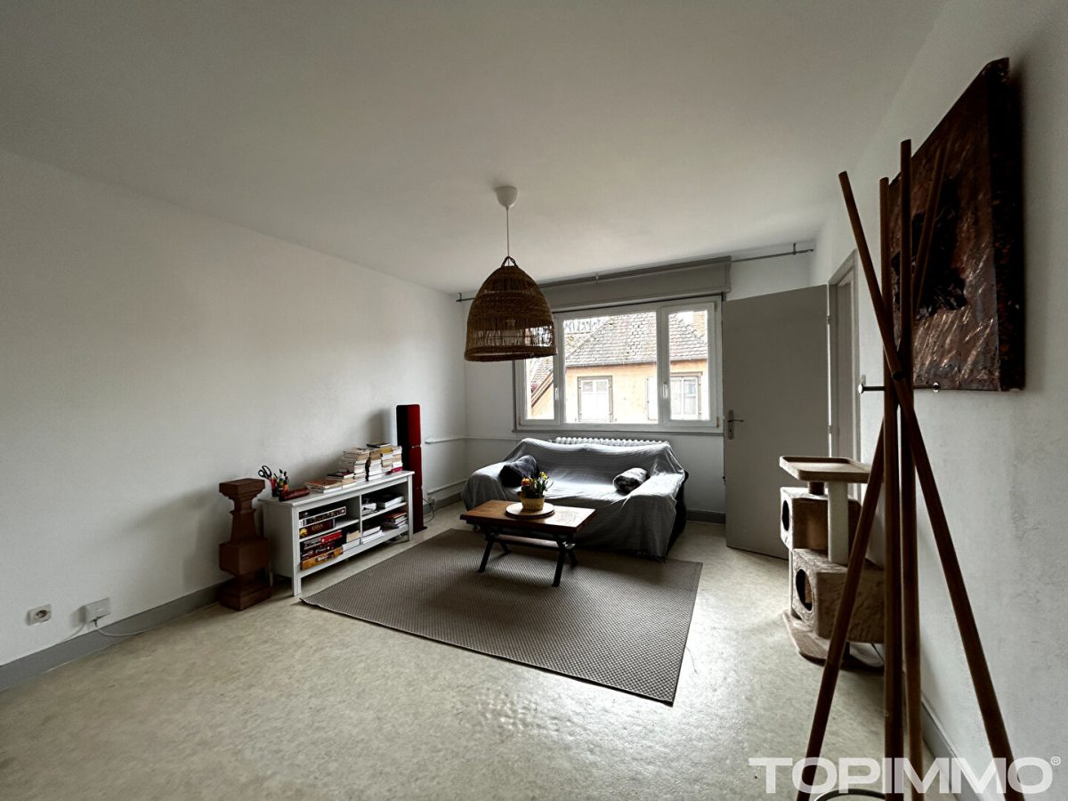 COLMAR-Appartement -balcons-cave-garage/BELLE OPPORTUNITÉ À PETIT PRIX!