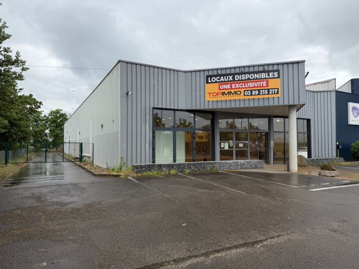 COLMAR – Zone Aérodrome – 4 rue Louis Blériot – 709 m2