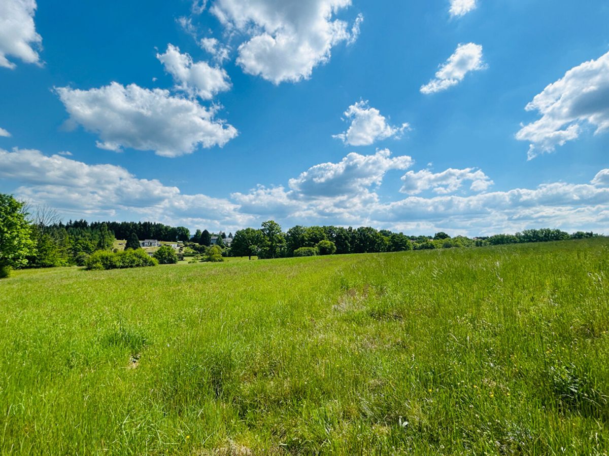 Terrain Saulcy Sur Meurthe 4472 m2