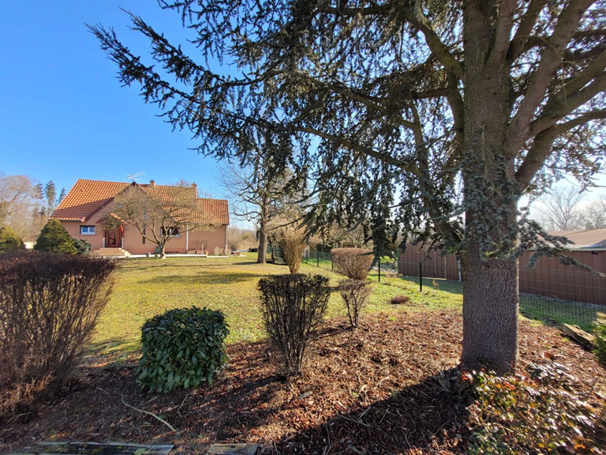 Maison  8 pièce(s) 253 m2 dans cadre exceptionnel !