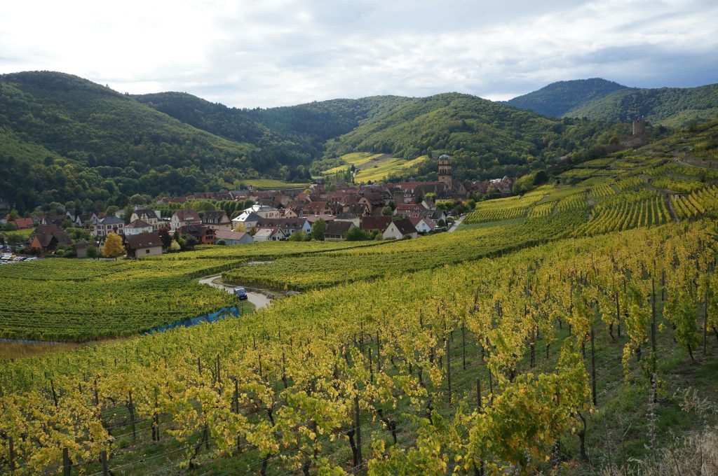 Vendre votre bien en 2025 : ce qui change sur le marché immobilier en Alsace-Vosges