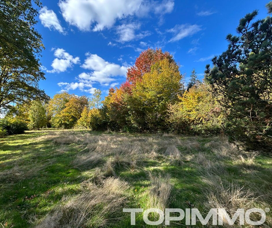 Maison d&rsquo;architecte Saint Die Des Vosges 9 pièce(s) 250 m2