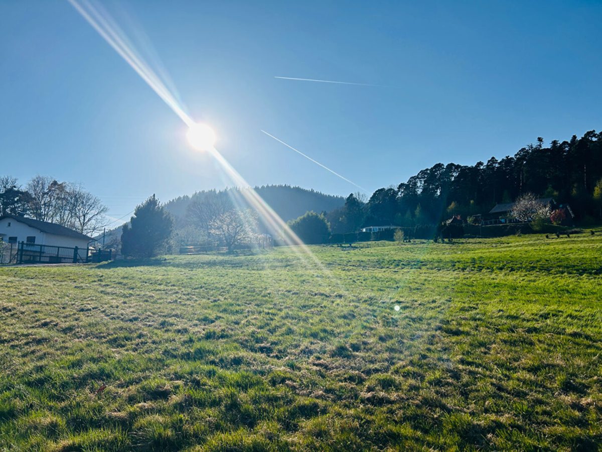 Terrain Saint Die Des Vosges 1902 m2