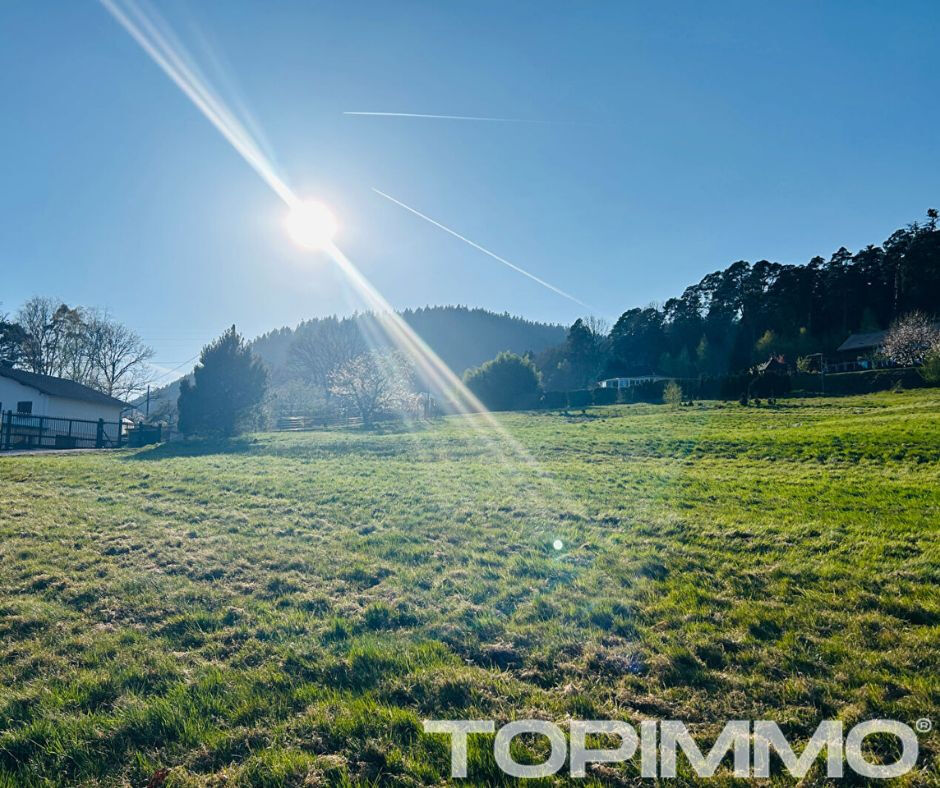 Terrain Saint Die Des Vosges 1902 m2