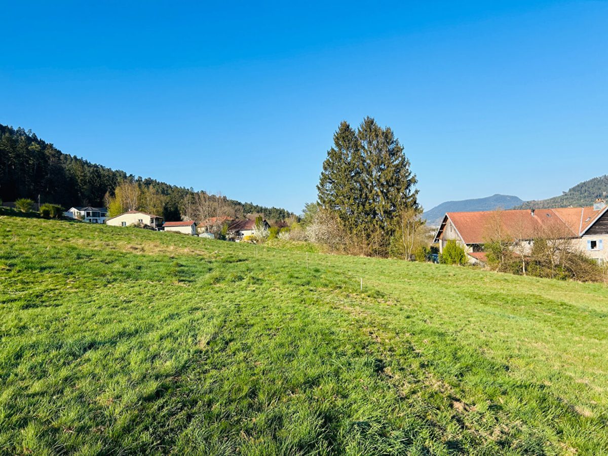 Terrain Saint Die Des Vosges 1199 m2