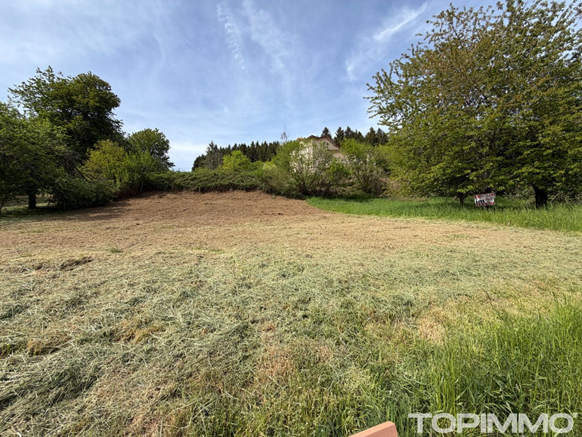 Terrain Wisembach 1380 m2