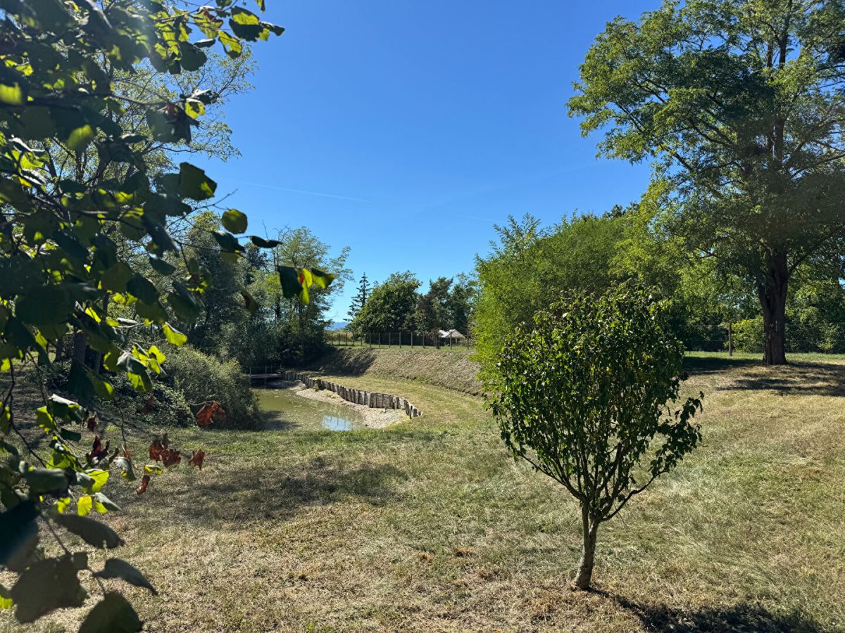 Terrain de loisirs Andolsheim