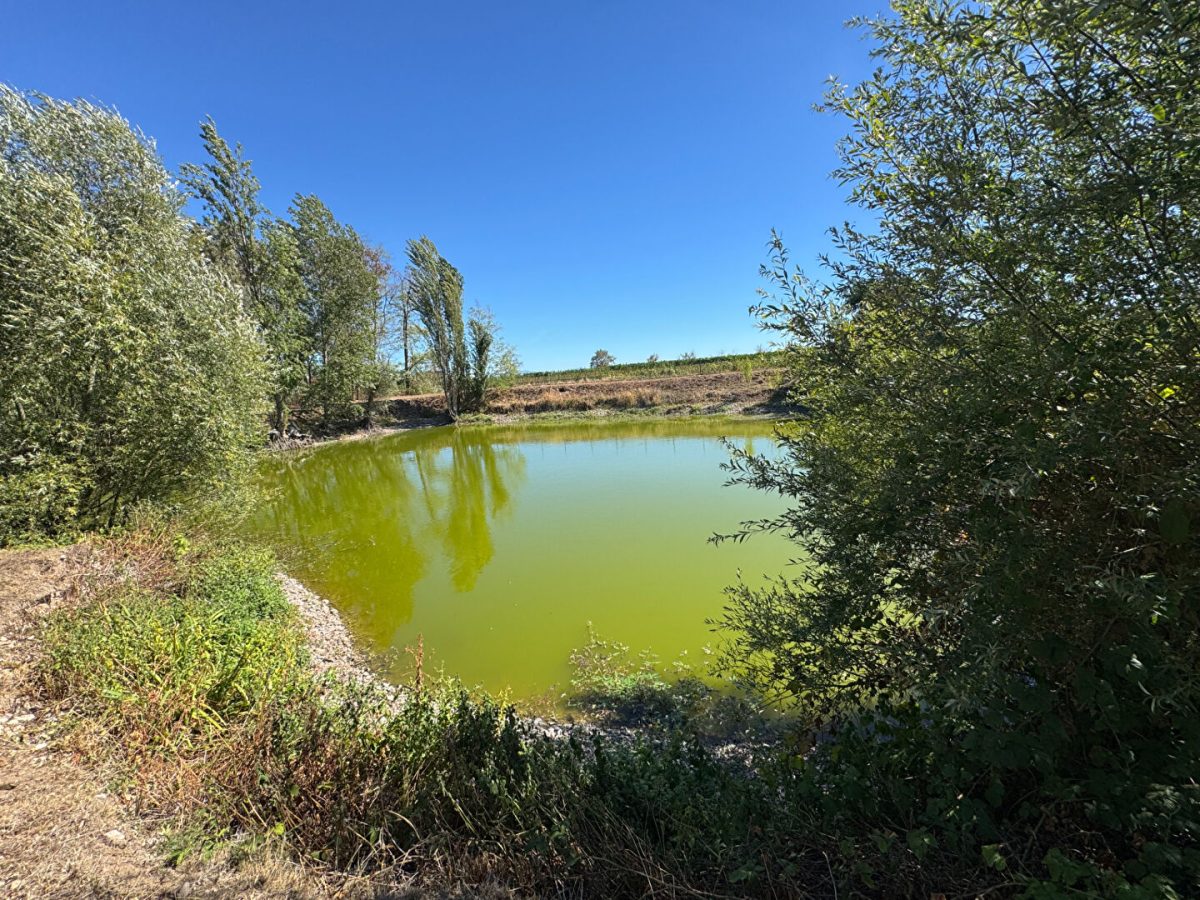 Terrain de loisirs Colmar 3133 m2